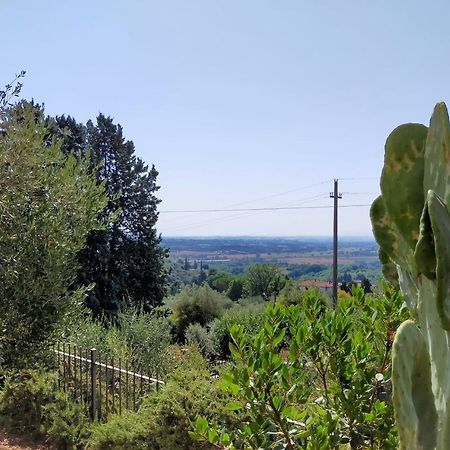L'Olivo Appartamento Turistico Лучиньяно Экстерьер фото